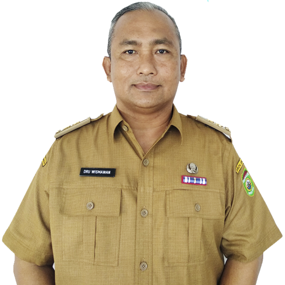 DRU WISMAWAN, SE, MT